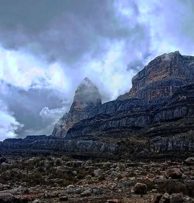 Formaciones rocosas verticales envueltas en neblina.